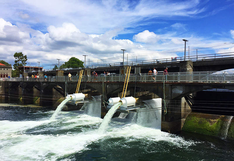 Seattle - Ballard Locks