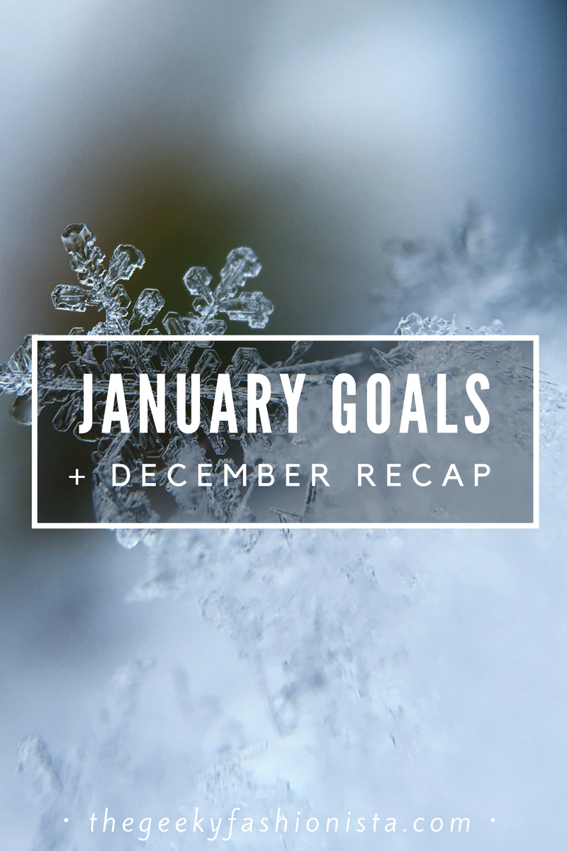 January Goals and December Recap