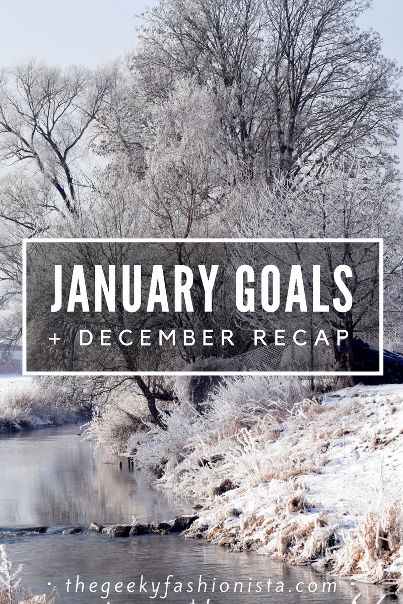 January Goals + December Recap